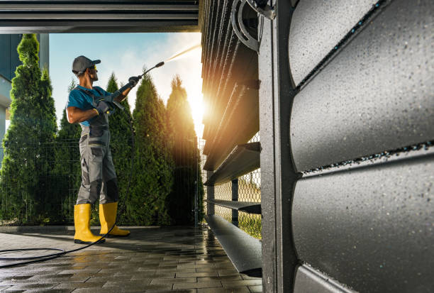 Best Roof Power Washing Services  in Guntown, MS