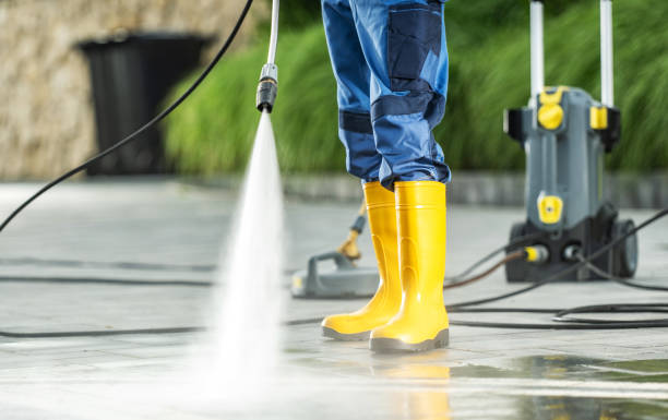 Best Local Pressure Washing Services  in Guntown, MS